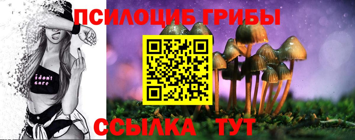 Галлюциногенные грибы прущие грибы  Вход с VPN  Алатырь 